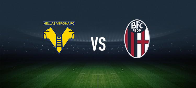 即便我们在 即便我们在