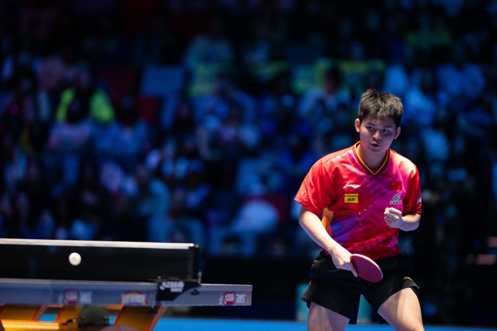 数关注与争 数关注与争