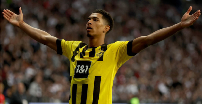 表现十分活 表现十分活